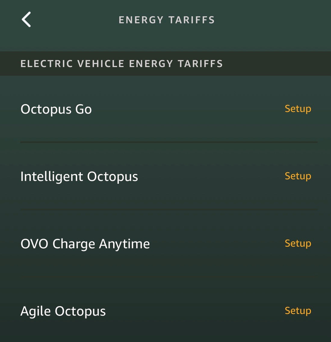 Ongoing Support – A Brand That Stays With You